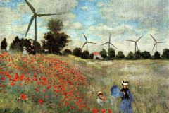 Les-coquelicots